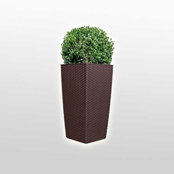 Outdoor Wicker Planter - Cupeno