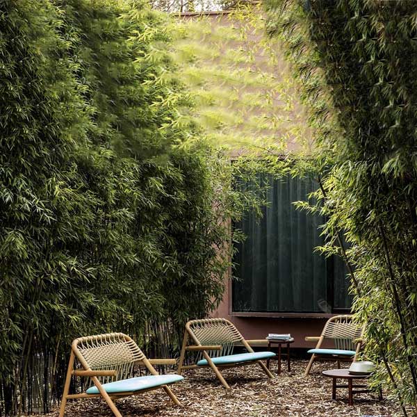 Outdoor Braided, Rope & Cord, Sofa - Ola